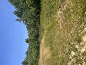 Vând teren extravilan, zonă liniștită, pretabil pentru cabana - imagine 5