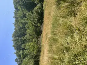 Vând teren extravilan, zonă liniștită, pretabil pentru cabana - imagine 6