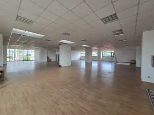 Spatii de inchiriat - Cladirea Basarabia - imagine 5