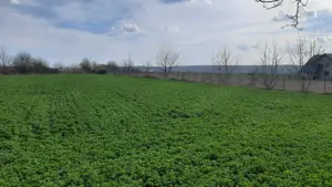 Teren de constructii de vanzare. - imagine 4