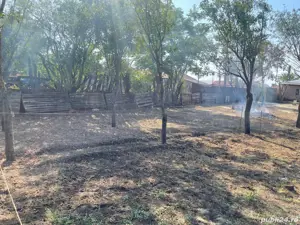 Teren intravilan Posta, Cernica de vânzare  - imagine 5