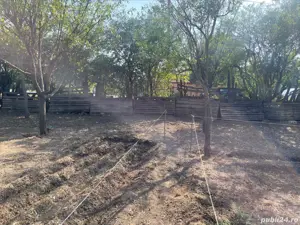 Teren intravilan Posta, Cernica de vânzare  - imagine 3