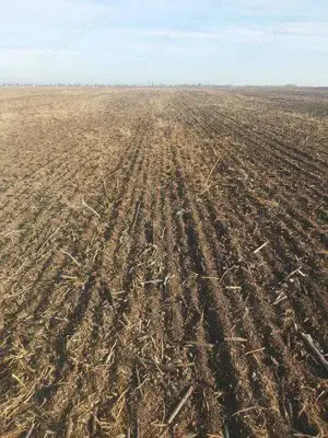 Vând teren agricol în Com.Urzicuța, jud.Dolj 2,850ha