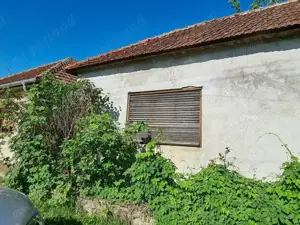 Vand casa în județul Arad