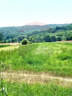 Teren 4,006mp Capul Piscului  / Strada Principala