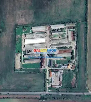 Vanzare ferma zootehnicaFunctionala zona Tomsani