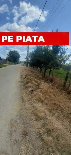 0% COMISION - TEREN GENEROS 5000 MP  GOLESTI - ARGES