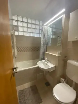 Apartament de vanzare, 3 camere, 115 mp, etaj 1 +garaj, zonă centrală, Baia Mare - imagine 13