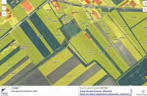 Freidorf, teren extravilan, 4300 mp 