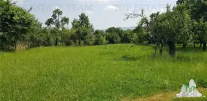 Teren intravilan Campulung – 2.957 mp cu livada, anexa si acces utilitati, Campulung-Muscel, zona Va - imagine 3