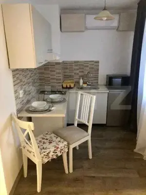 Garsoniera 25,19mp,etaj3,zona Ultracentral-English Park - imagine 3