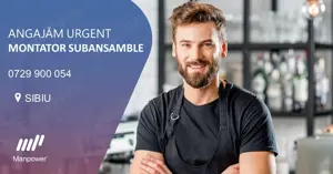 Angajam  Montator Subansamble