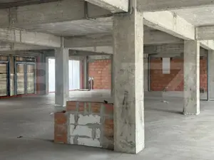 Spatii cu destinatie multipla,intre 50 si 100 mp , zona Centrala - imagine 3