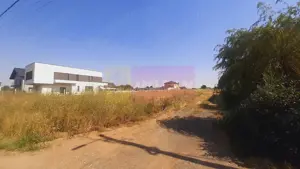 Teren foarte bun pentru mai multe case în Brănești - imagine 6