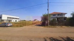 Teren foarte bun pentru mai multe case în Brănești - imagine 12