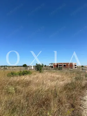 OX662 Casa pe un singur nivel, in Pischia - imagine 5 OX662 Casa pe un singur nivel, in Pischia - imagine 5