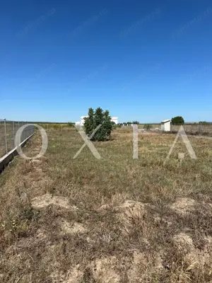 OX662 Casa pe un singur nivel, in Pischia - imagine 8 OX662 Casa pe un singur nivel, in Pischia - imagine 8