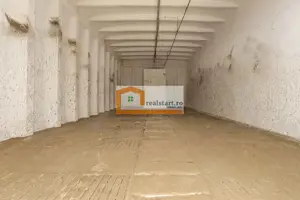 Spatiu Industrial, D 155ml la DJ112A, Acces E68, teren 1,7Ha, - imagine 7