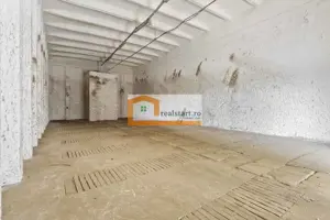 Spatiu Industrial, D 155ml la DJ112A, Acces E68, teren 1,7Ha, - imagine 11