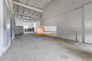 Spatiu Industrial, D 155ml la DJ112A, Acces E68, teren 1,7Ha, - imagine 9