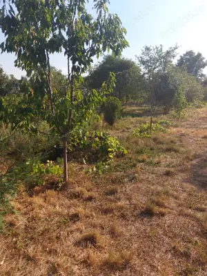 Casa in Petresti(Dambovita) de vanzare - imagine 6