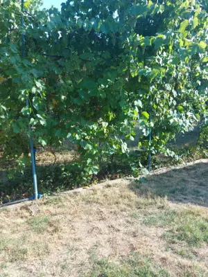 Casa in Petresti(Dambovita) de vanzare - imagine 7