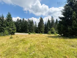 Teren Intravilan 1000MP Utilitati 3 Brazi Predeal - imagine 3