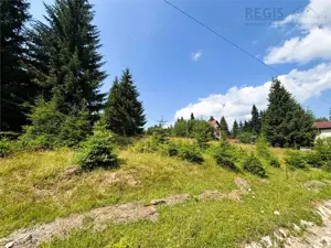 Teren Intravilan 1000MP Utilitati 3 Brazi Predeal - imagine 6