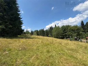 Teren Intravilan 1000MP Utilitati 3 Brazi Predeal - imagine 2