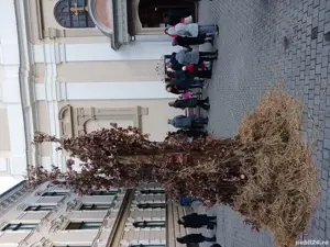 Vând casă în Bazoșu Nou - imagine 8