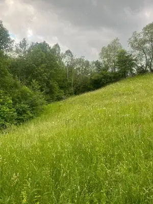 Teren intravilan 7426 mp de vanzare in Valea Doftanei utilitati la limita proprietatii