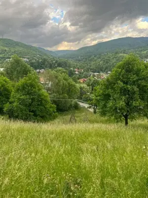 Teren intravilan 7426 mp de vanzare in Valea Doftanei utilitati la limita proprietatii    - imagine 4