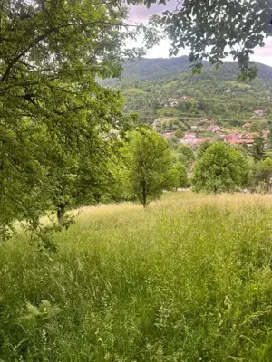 Teren intravilan 7426 mp de vanzare in Valea Doftanei utilitati la limita proprietatii    - imagine 5