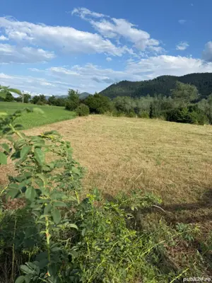 vand teren intravilan - imagine 5