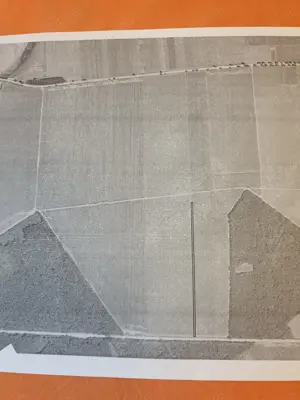 Vind teren Belciugatele   ( DN3 )  - 3 euro negociabil - imagine 2