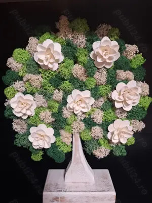 Copac din licheni stabilizati 23 30