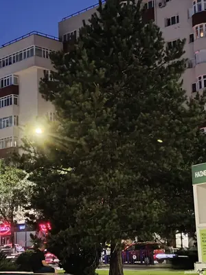 servicii foto video profesionale 