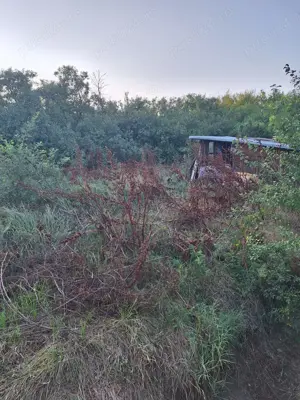 Teren 3.516 mp intravilan, poziție centrală în Gropsani, Olt - imagine 4