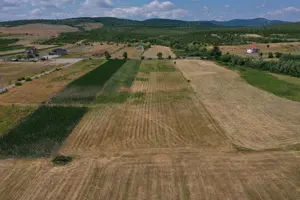 Teren extravilan cu POTENȚIAL   8.750 mp, Mănășturel, jud. Cluj