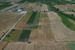 Teren extravilan cu POTENȚIAL   8.750 mp, Mănășturel, jud. Cluj  - imagine 3