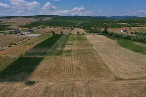 Teren extravilan cu POTENȚIAL   8.750 mp, Mănășturel, jud. Cluj  - imagine 2