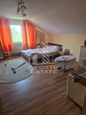 Vila D+P+1E in Lipovei … poziție foarte buna - imagine 2