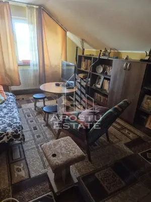 Vila D+P+1E in Lipovei … poziție foarte buna - imagine 3