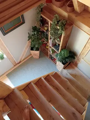 vand cabana brebu nou - imagine 2