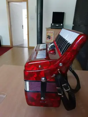 Acordeon Parrot 60 basi - imagine 2