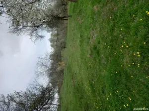 Teren intravilan de vanzare capțanenii-pamantenii - imagine 2