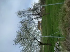 Teren intravilan de vanzare capțanenii-pamantenii - imagine 4