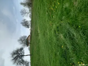 Teren intravilan de vanzare capțanenii-pamantenii - imagine 9