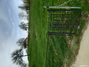 Teren intravilan de vanzare capțanenii-pamantenii - imagine 7