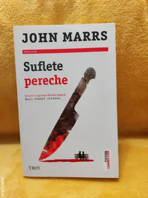 Cartea Suflete Pereche by John Marrs